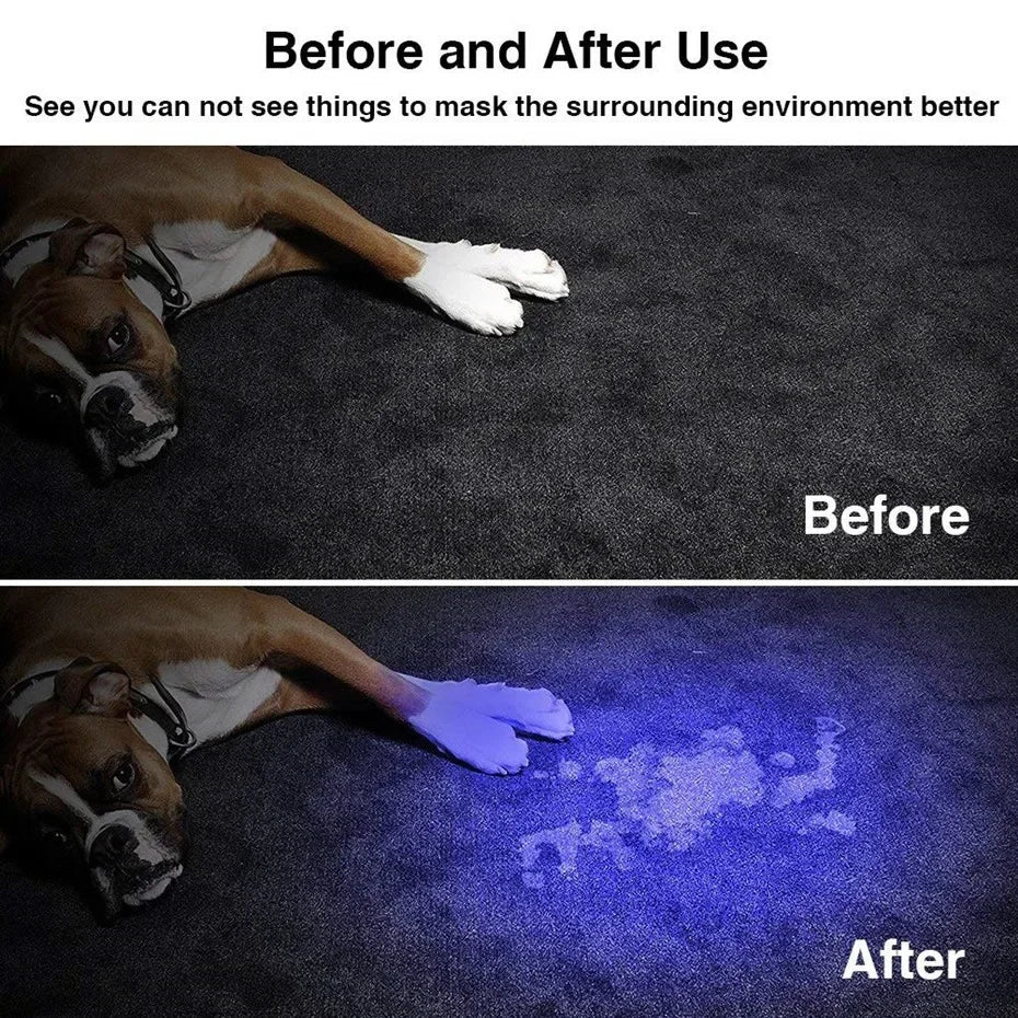 LED UV Flashlight 395nm AA Battery Ultraviolet Torch With Zoom Function Mini UV Light Pet Urine Stains Detector Scorpion Hunting