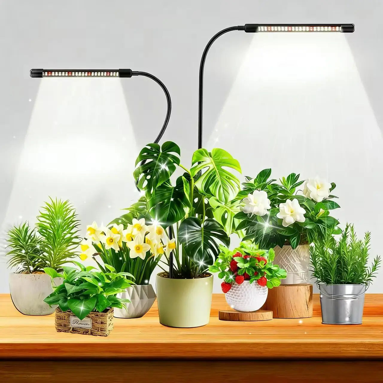 48LEDs Grow Lights for Indoor Plants 6000K Full Spectrum Ground Plug Grow Light with Gooseneck With 5 Level Dimmable & Auto Timer for Small and Indoor Plants