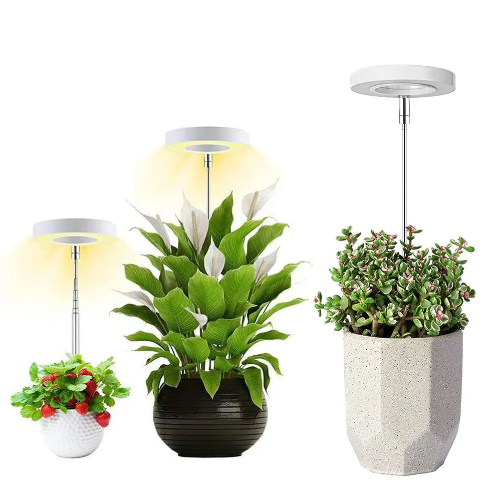 Full Spectrum Indoor Solar LED Growth Light, Four Gear Dimming, Fleshy Viridiplantae, Flower Floor Telescopic Fill Light