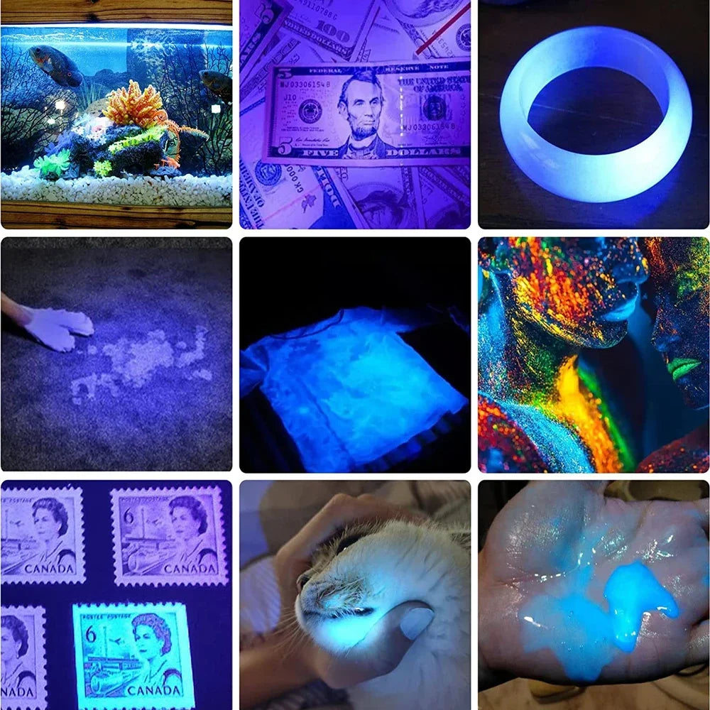 USB Rechargeable UV Light Flashlight LED Ultraviolet Torch Lamp for Camping Strong Light Black Light Pet Urine Stains Detection