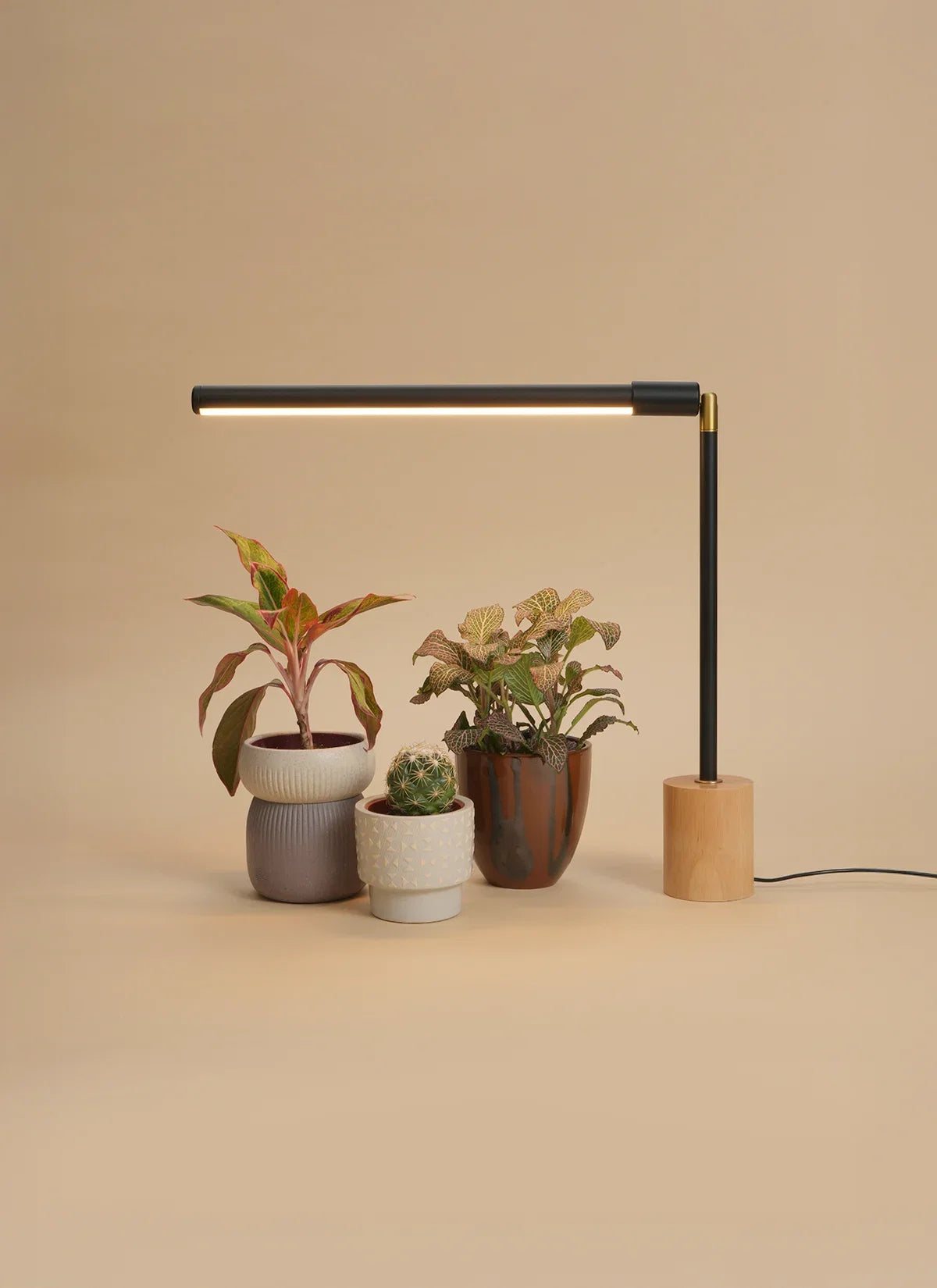 Versa™ Tabletop Grow Light
