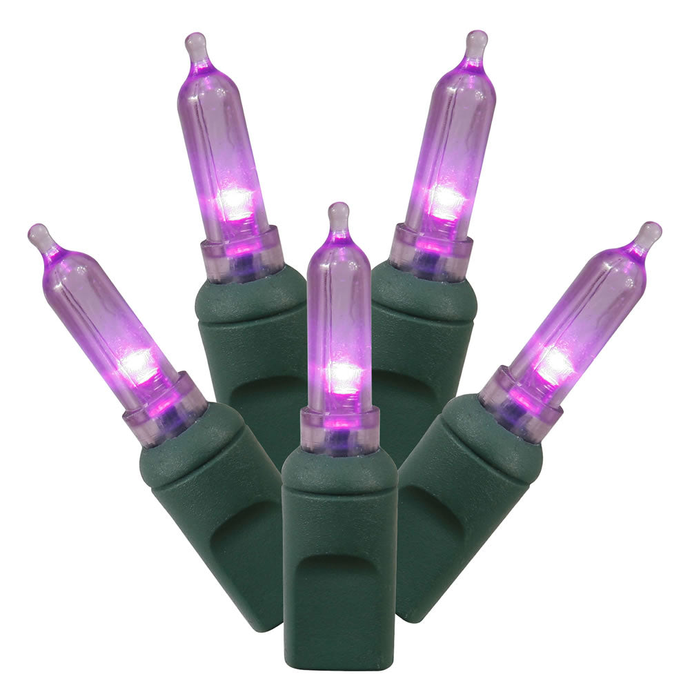 Vickerman 100Lt LED Purple/GW Italian EC  34L  X4G7106
