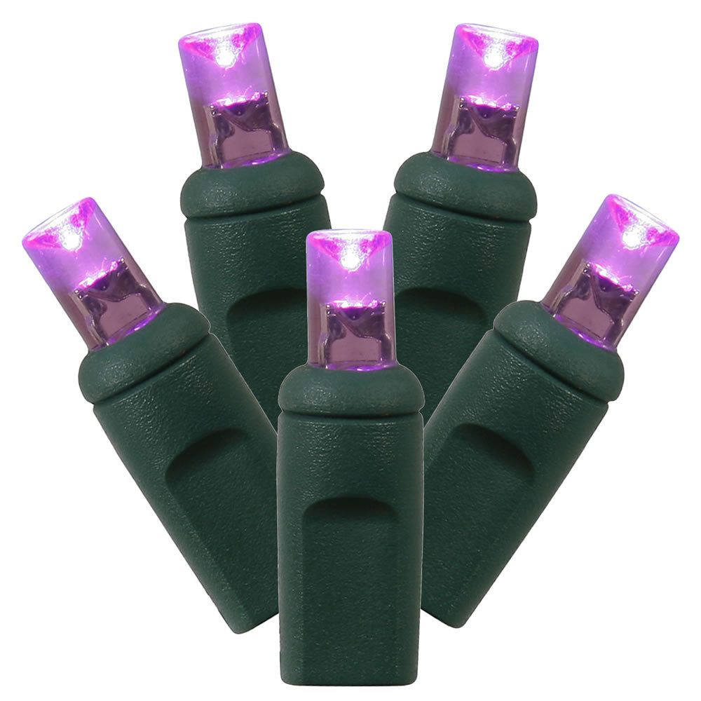 Vickerman 50Lt Led Purple/Gw Wa Ec Set 1Pc 6''X25'L - X6G6506