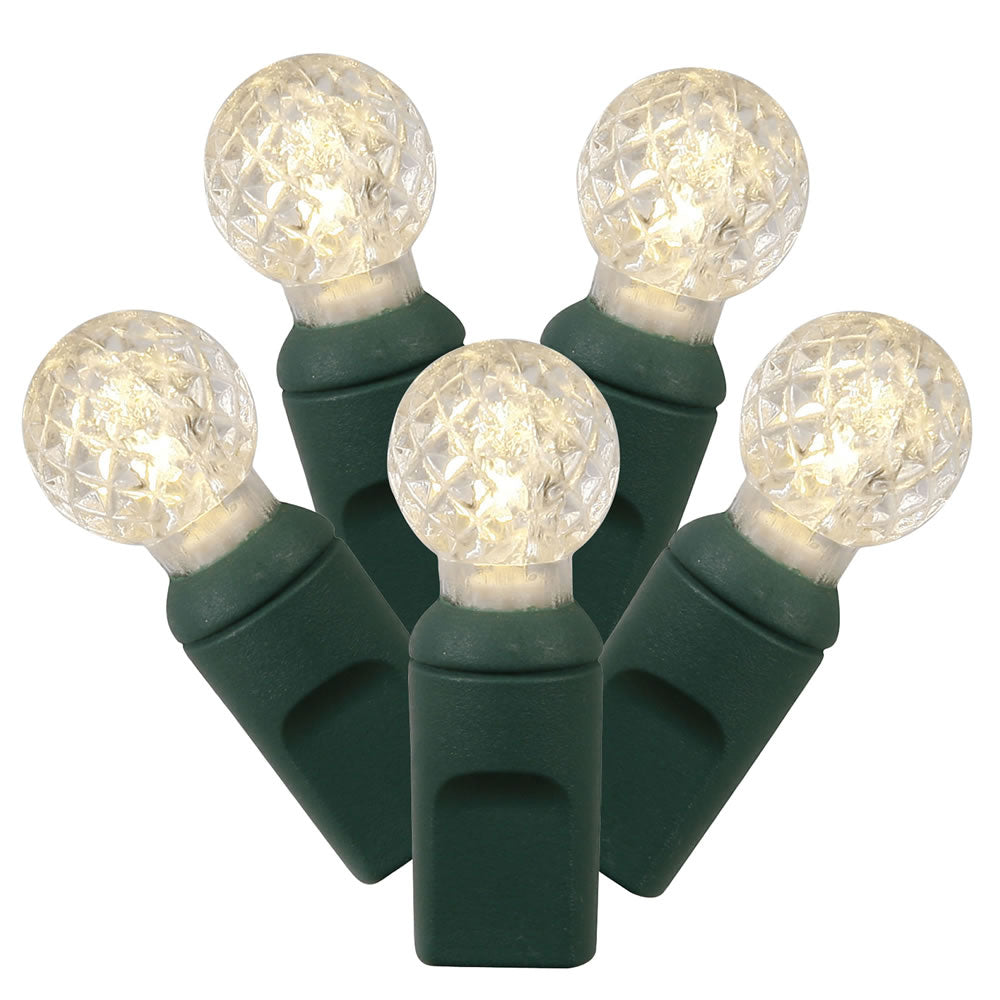 Vickerman LED Light Set, 50 Lights, Warm White, G12 Bulbs, Green Wire, Model X6G9501