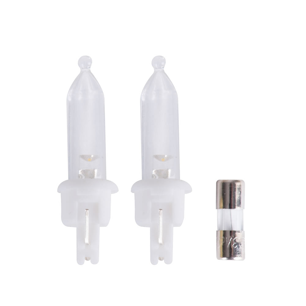 Vickerman Warm White Led Light Set