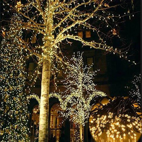 Firefly Solar mini LED Christmas lights on String(D0102HEYY8W.)