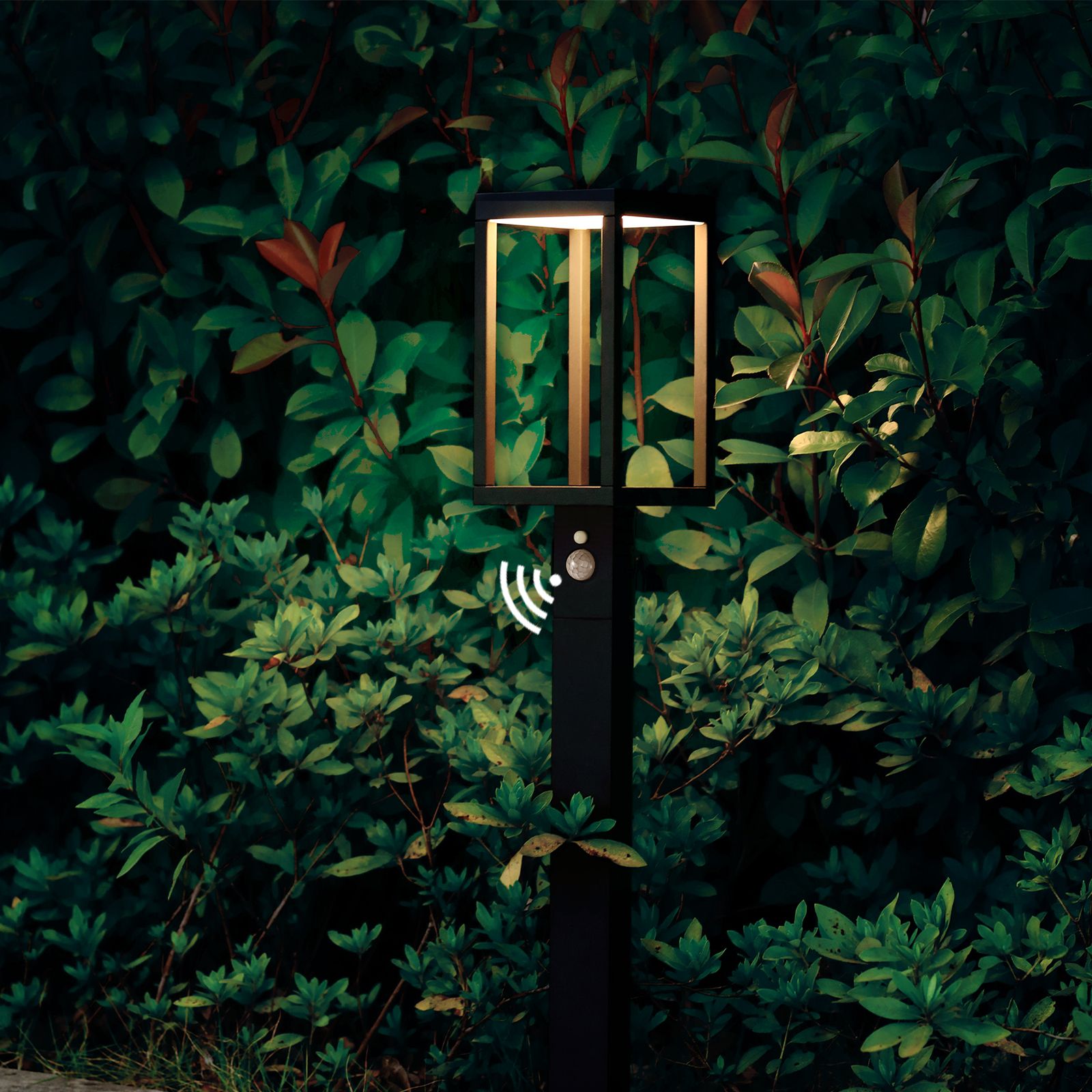Inowel Solar Outdoor Light Pathway Dusk to Dawn garden Lighting 22562(D0102HgJ0VU)