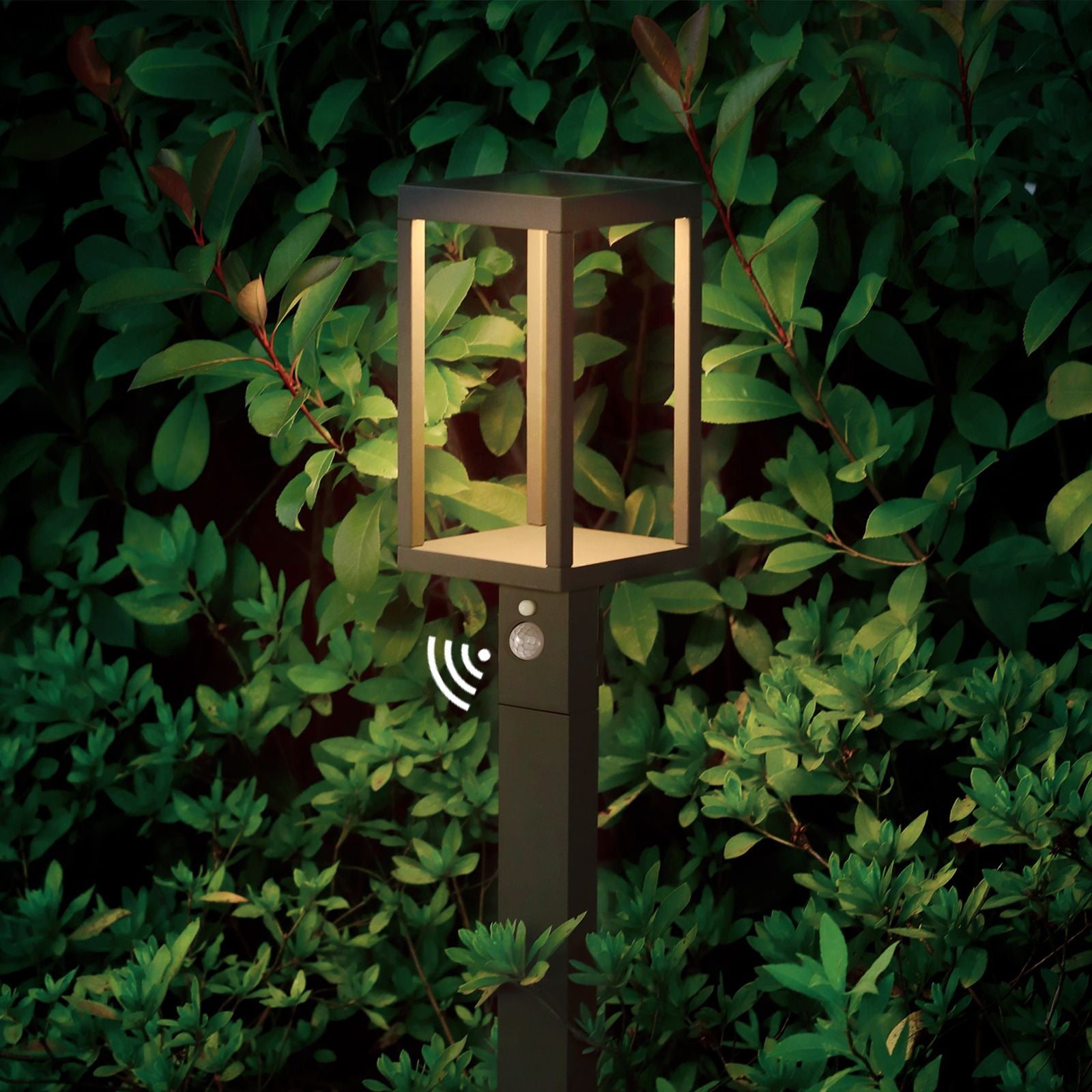 Inowel Solar Outdoor Light Pathway Dusk to Dawn garden Lighting 22562(D0102HgJ0VY)