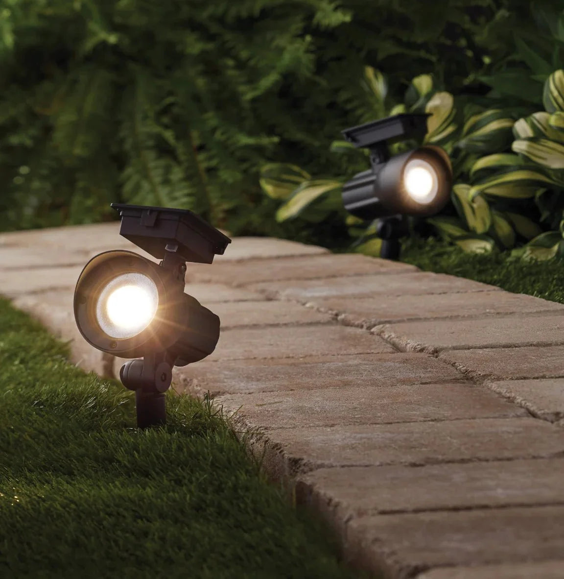 Energizer 50 Lumen Solar Outdoor Landscape Spot Light, Black (3-Pack)