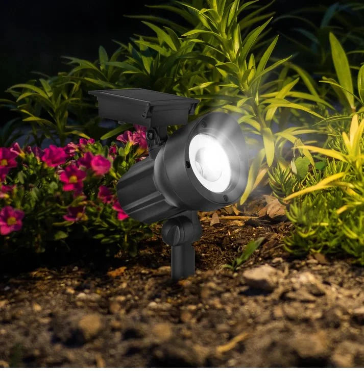 Energizer 50 Lumen Solar Outdoor Landscape Spot Light, Black (3-Pack)