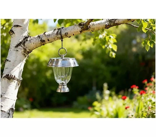 Energizer 8 Pack 3-in-1 Solar Pathway Lights with 360-degree 15 Lumen
