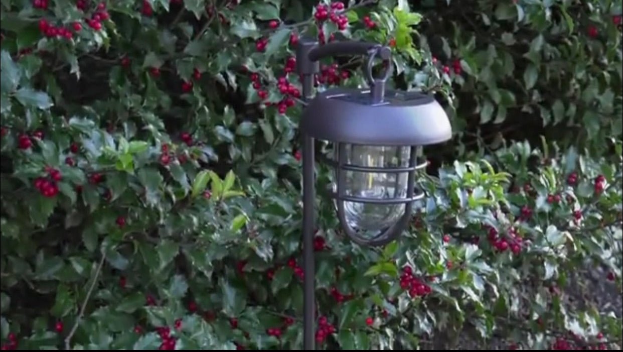 Energizer LED Solar Hanging Lights Shepherds Hook Metal Pole (Set of 4)