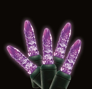 Kellogg Plastics 41612 075 in M5 Base Holiday & christmas Indoor & Outdoor M5 Base LED- Purple
