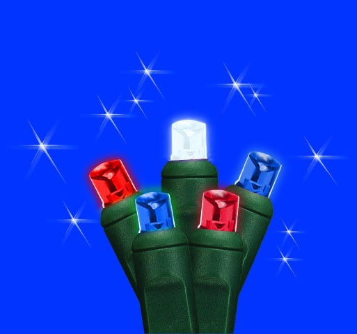 Kellogg Plastics 45622 025 in Holiday & christmas Indoor & Outdoor M5 Base LED- Red- White & Blue