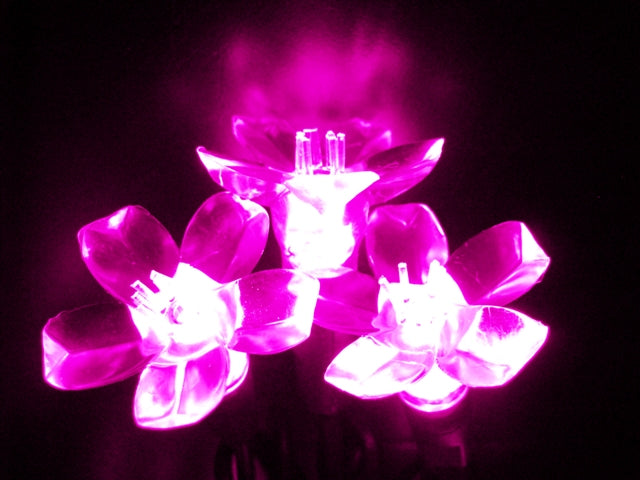 Kellogg Plastics 144361 075 in Holiday & christmas Indoor & Outdoor LED- Pink