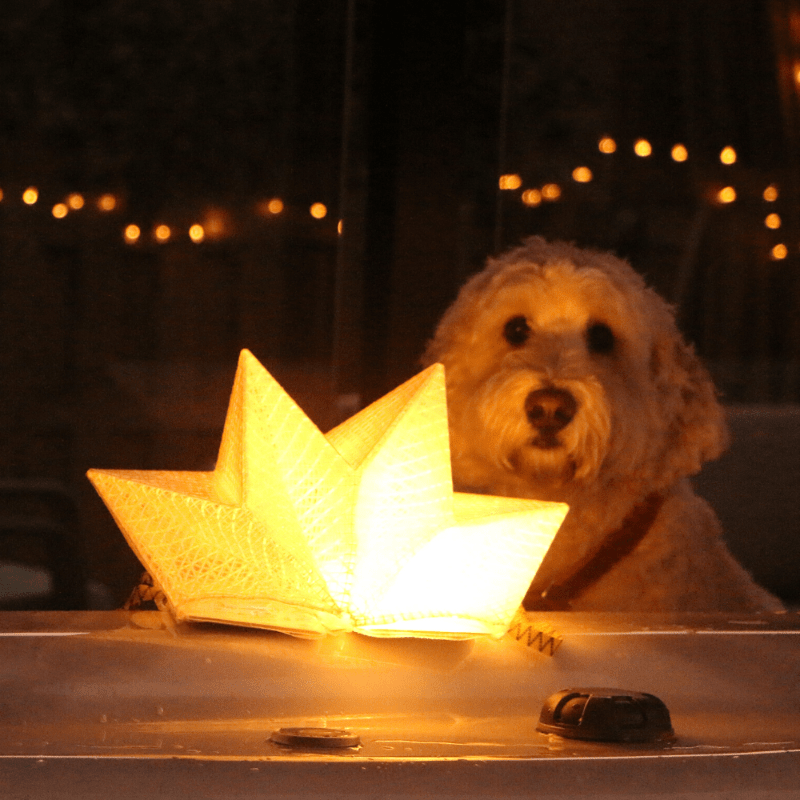 QWNN™ – Solar Lantern and Phone Charging Power Bank