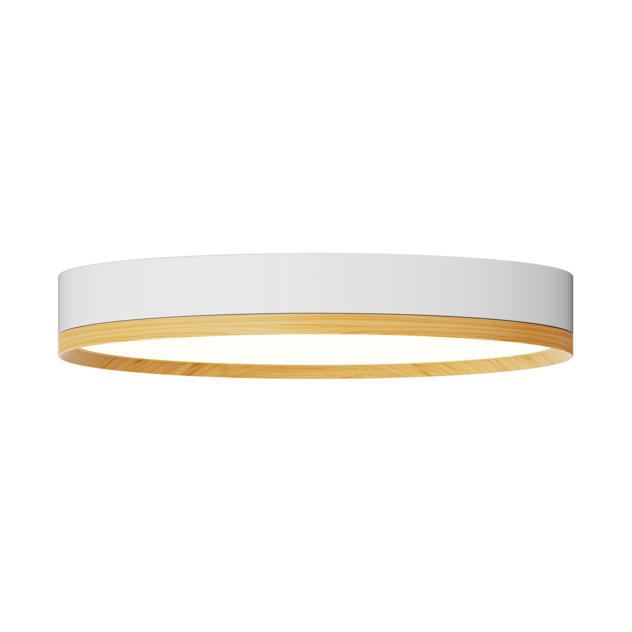 Rayhil INOVA 12" 18W Surface Mount Selectable CCT