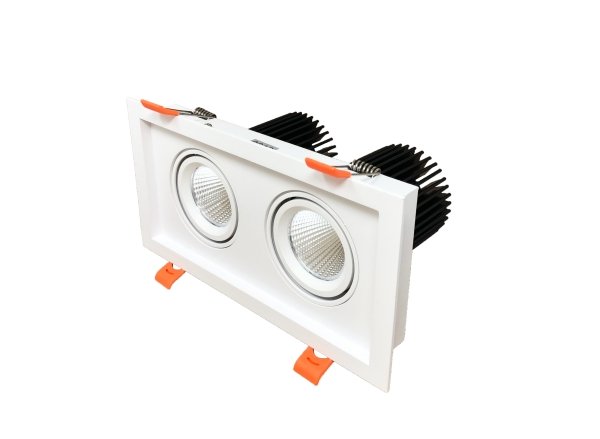RAYHIL RAD2H 24W Dual Head LED Recessed Downlight  38° Selectable CCT