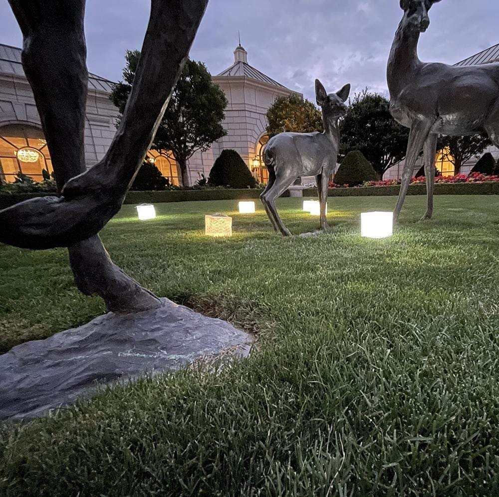 SolarPuff™ Hybrid Solar Lantern – Warm & Bright