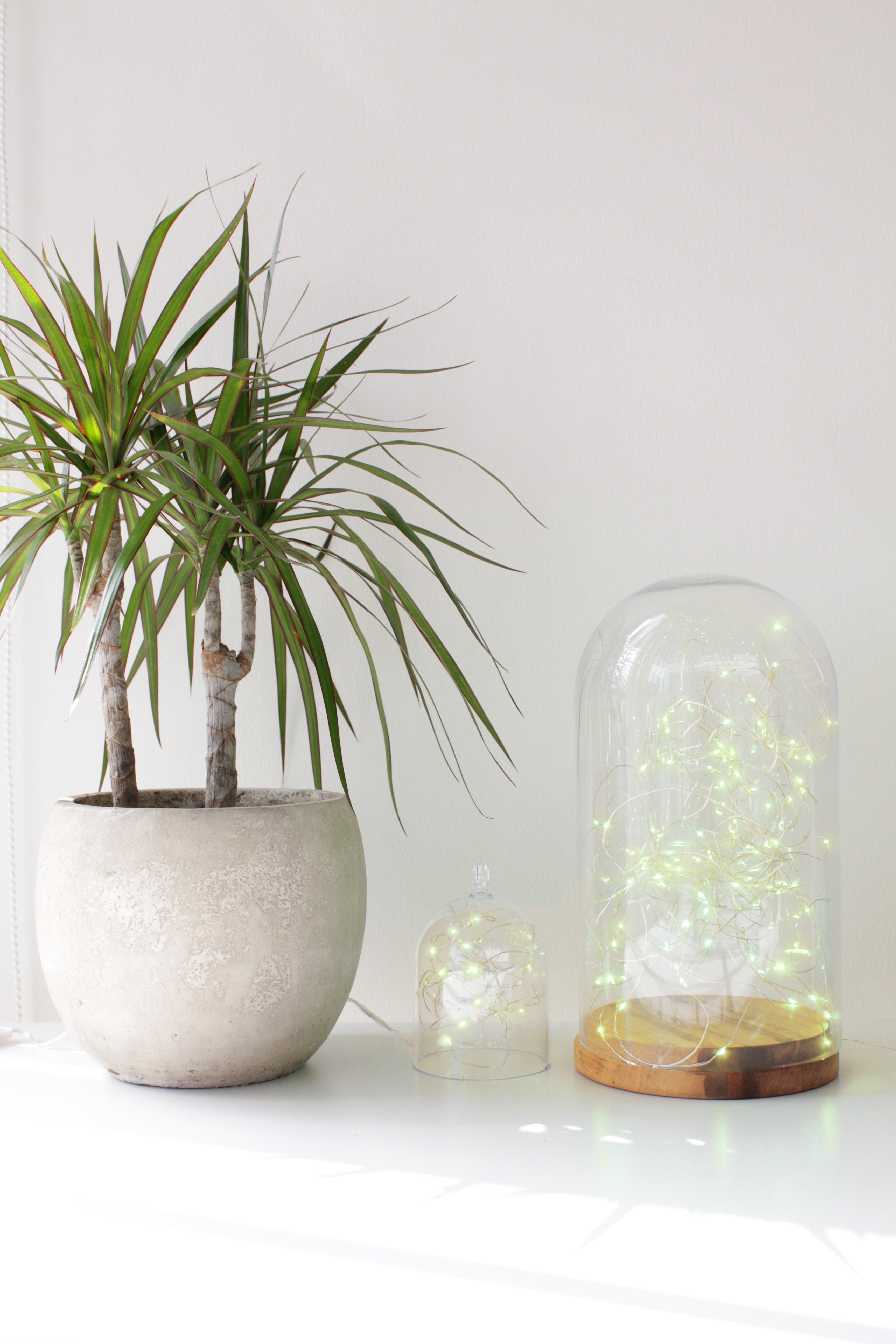 20 LED Silver Copper Fairy Lights - Battery Operated