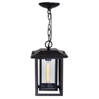 Winfield 1 Light Black Outdoor Hanging Light