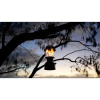 Coleman Powerhouse Dual Fuel Lantern Shines Up To 800 Lumens 2Mantle Lantern Uses Coleman Liquid Fuel Or Gasoline With Adjusta