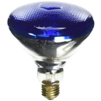 Westinghouse Lighting 0441400 100 Watt 120 Volt Blue Flood Br38 Incandescent Light Bulb