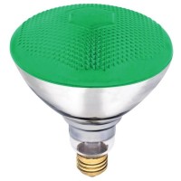 Bulb R38 100W Green (Pack Of 1)