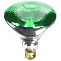 Bulb R38 100W Green (Pack Of 1)