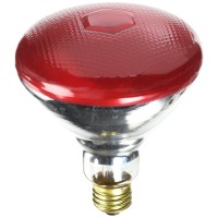 Westinghouse Lighting 0441000 100 Watt 120 Volt Incandescent Br38 Light Bulb-2000 Hours 1 Pack Red