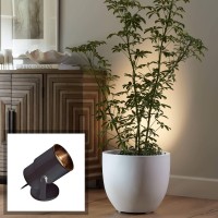 Pro Track Small Uplighting Indoor Accent Spot-Light Led Plug-In Directional Adjustable Floor Plant Home Decorative Art Desk Picture Table Living Room Interior Corner Photo Bar Black Finish 8