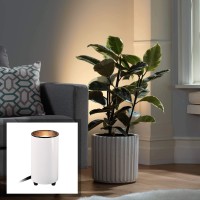 Pro Track Can Mini Small Uplighting Indoor Accent Spot-Light Plug-In Floor Plant Home Decorative Art Desk Picture Table Living Room Interior Corner Bar Photo White Finish 6 1/2