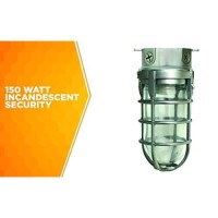 Woods L1706 Vandal Resistant Security Light With Ceiling Mount (150W Incandescent Bulb; Silver)