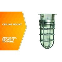 Woods L1706 Vandal Resistant Security Light With Ceiling Mount (150W Incandescent Bulb; Silver)