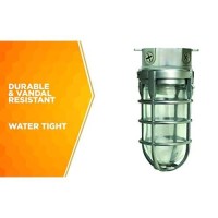 Woods L1706 Vandal Resistant Security Light With Ceiling Mount (150W Incandescent Bulb; Silver)