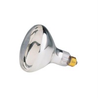 Bulb-125W R-40 Clr Heat (Pack Of 6)