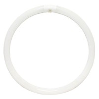 Westinghouse Lighting Corp 06030 16-Inch 40-Watt Cw Ring, Fluorescent