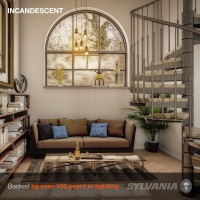 Sylvania Incandescent G25 D