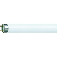 Philips 63207440 Lamp, T8, 1200Mm, 36W, 6500K