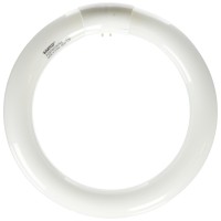 Satco S6500 Transitional Light Bulb In White Finish, 8.00 Inches, 1 Count (Pack Of 1), Color