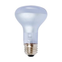 Agrosun/Dayspot Burp413 Incandescent Growlight Plant Bulb, 60 Watt