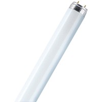 Osram 36 Watt Lumilux T8 Fluorescent Lamp Sockets