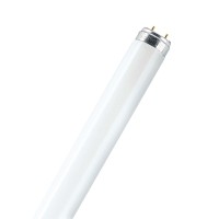 Osram 518039 - L 30W/840 Straight T8 Fluorescent Tube Light Bulb