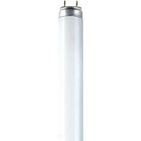 Osram 518039 - L 30W/840 Straight T8 Fluorescent Tube Light Bulb