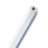 Osram 518039 - L 30W/840 Straight T8 Fluorescent Tube Light Bulb