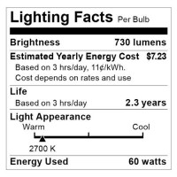 Satco S4468 120V Medium Base 25-Watt B11 Light Bulb, Clear