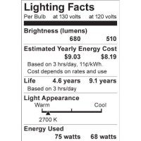 Satco S3928 75 Watt 680 Lumens A19 Incandescent Rough Service Shatterpoof Light Bulb, 2-Pack