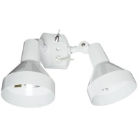 Rab Lighting H2W Bell Shaped Dual Floodlight Kit, Par38 Type, Aluminum, 300W Power, White, Multicolor