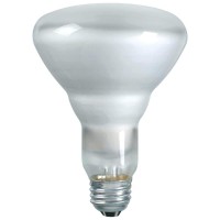 Sylvania 15177 - 65Br30/Dl/Fl/Rp 120V Br30 Reflector Flood Spot Light Bulb