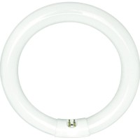 Sylvania 20142 - Fc12T9/Cw/Rs -32 Watt T9 Cool White Circular Fluorescent Light Bulb, 12